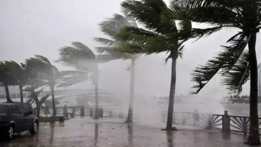 8月臺風(fēng)雨即將來(lái)，除濕機還得用起來(lái)