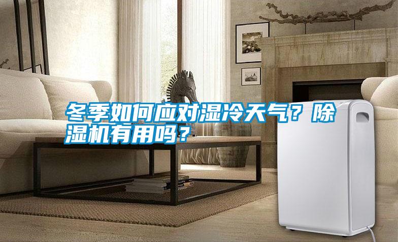 冬季如何應對濕冷天氣？除濕機有用嗎？