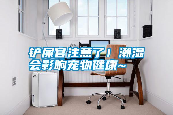 鏟屎官注意了！潮濕會(huì )影響寵物健康~