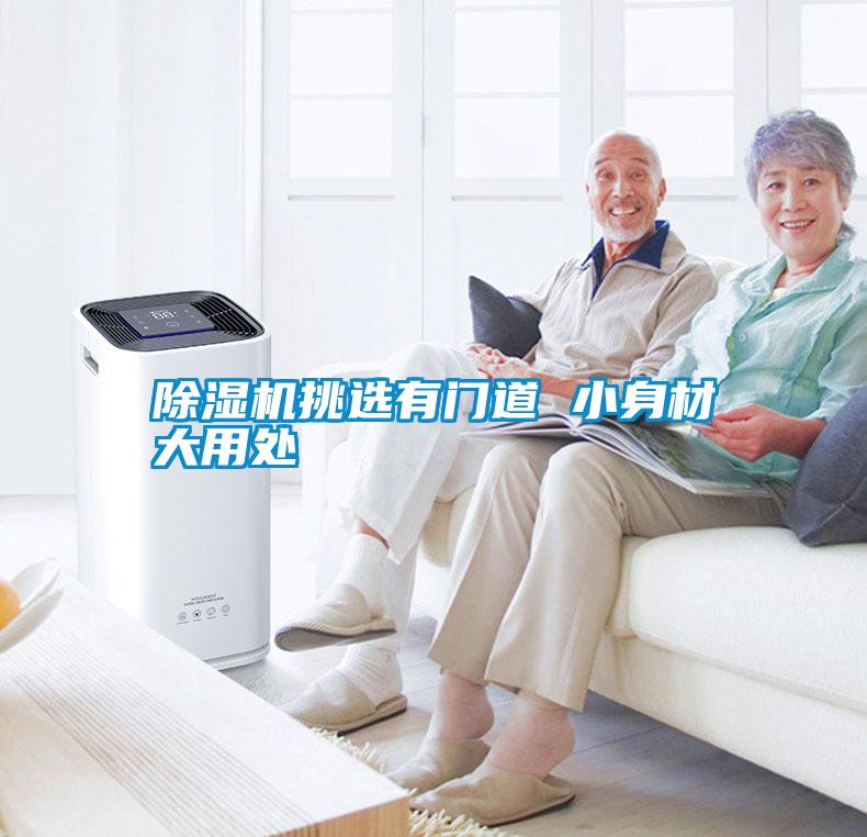 除濕機挑選有門(mén)道 小身材大用處