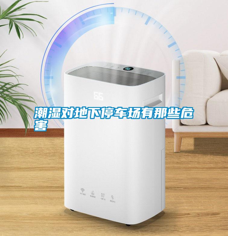 潮濕對地下停車(chē)場(chǎng)有那些危害