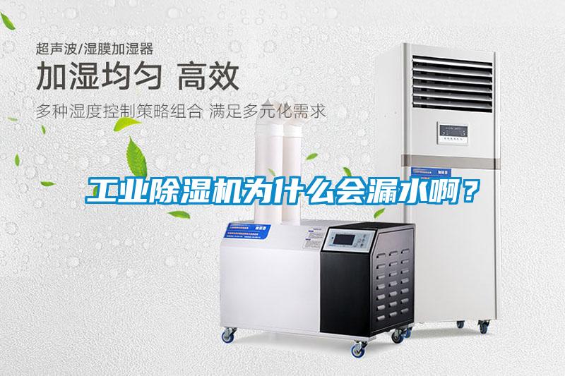 工業(yè)除濕機為什么會(huì )漏水??？