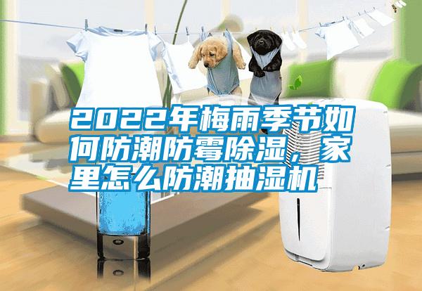 2022年梅雨季節如何防潮防霉除濕，家里怎么防潮抽濕機