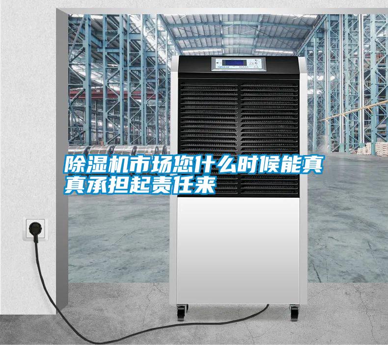 除濕機市場(chǎng)您什么時(shí)候能真真承擔起責任來(lái)