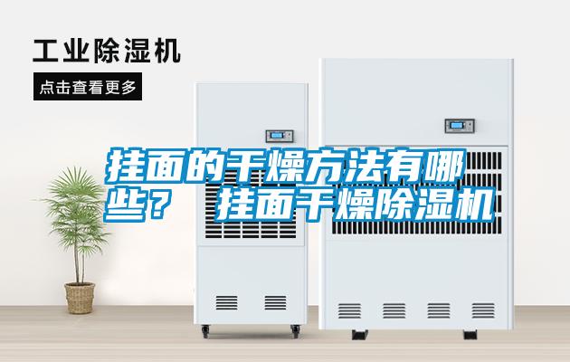 掛面的干燥方法有哪些？ 掛面干燥除濕機