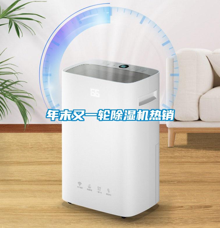 年末又一輪除濕機熱銷(xiāo)