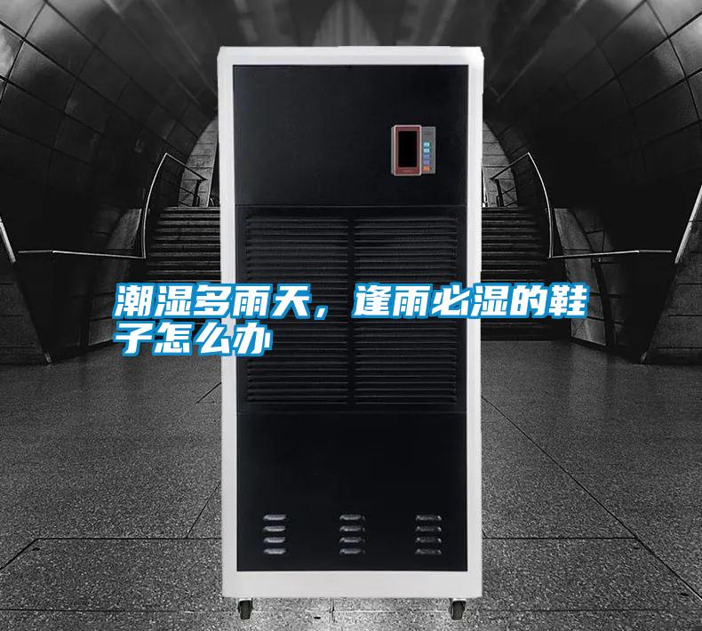 潮濕多雨天，逢雨必濕的鞋子怎么辦