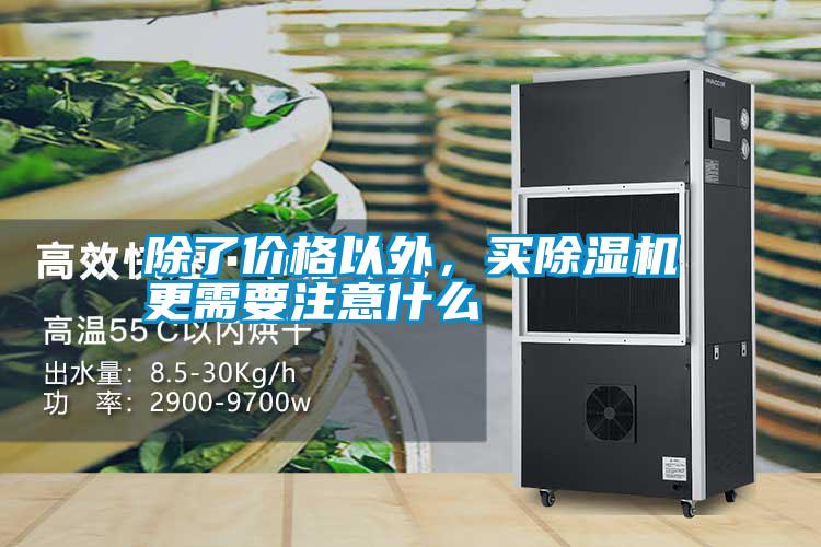 除了價(jià)格以外，買(mǎi)除濕機更需要注意什么