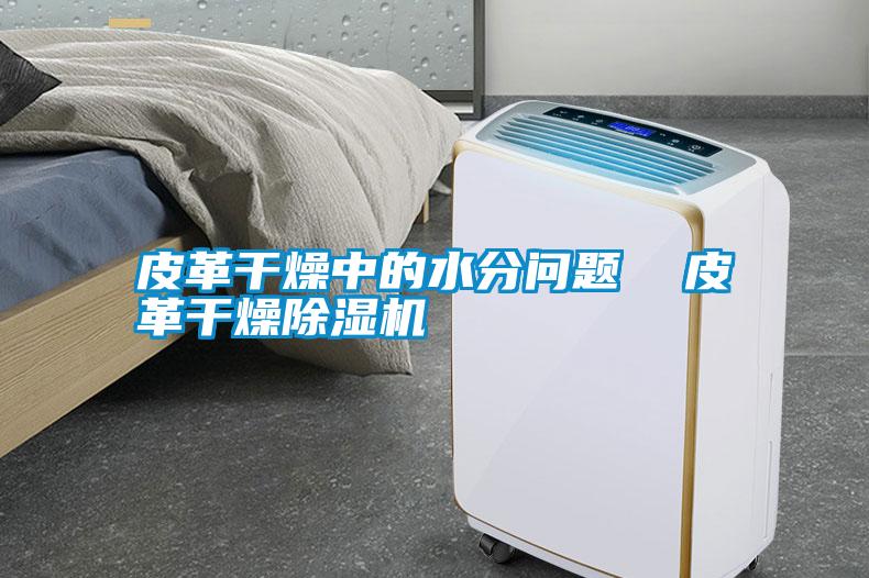 皮革干燥中的水分問(wèn)題  皮革干燥除濕機
