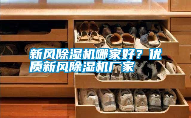 新風(fēng)除濕機哪家好？?jì)?yōu)質(zhì)新風(fēng)除濕機廠(chǎng)家