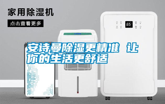 安詩(shī)曼除濕更精準 讓你的生活更舒適