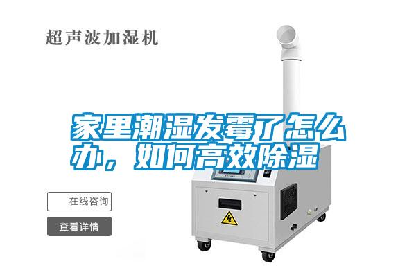 家里潮濕發(fā)霉了怎么辦，如何高效除濕