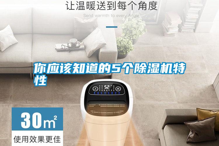 你應該知道的5個(gè)除濕機特性