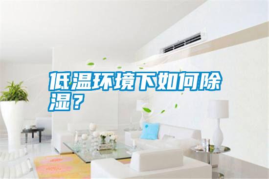 低溫環(huán)境下如何除濕？