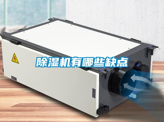 除濕機有哪些缺點(diǎn)