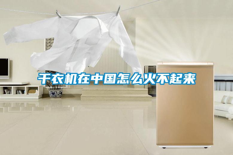 干衣機在中國怎么火不起來(lái)