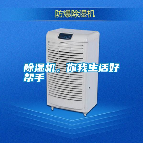 除濕機，你我生活好幫手