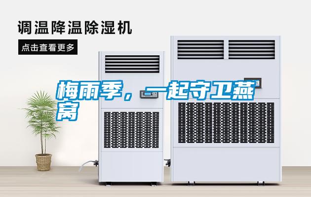 梅雨季，一起守衛燕窩
