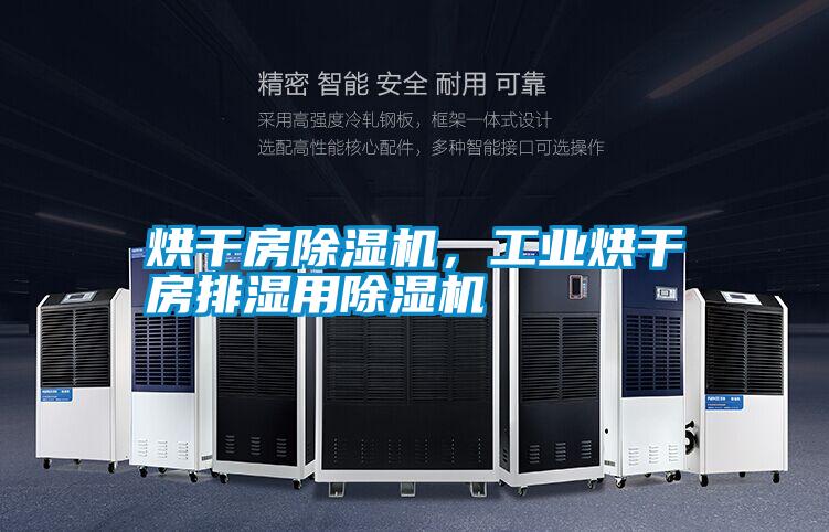 烘干房除濕機，工業(yè)烘干房排濕用除濕機