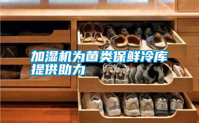 加濕機為菌類(lèi)保鮮冷庫提供助力