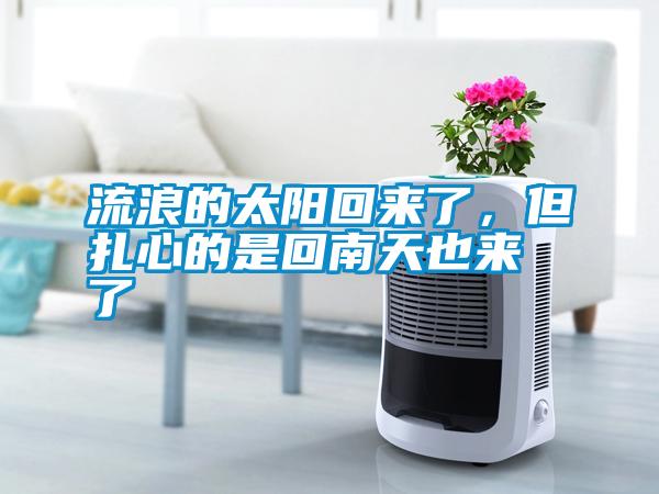 流浪的太陽(yáng)回來(lái)了，但扎心的是回南天也來(lái)了