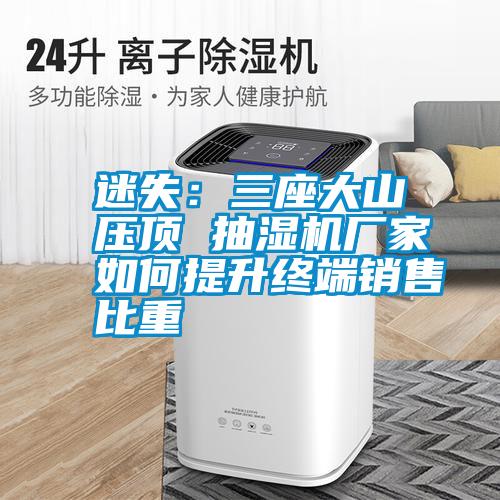迷失：三座大山壓頂 抽濕機廠(chǎng)家如何提升終端銷(xiāo)售比重