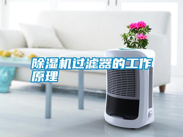除濕機過(guò)濾器的工作原理