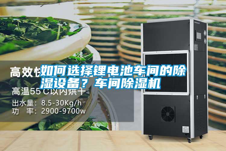 如何選擇鋰電池車(chē)間的除濕設備？車(chē)間除濕機