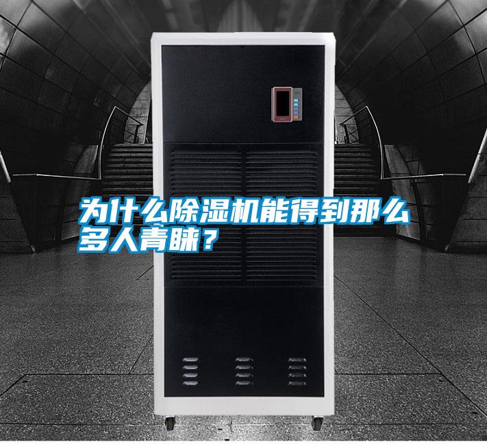 為什么除濕機能得到那么多人青睞？