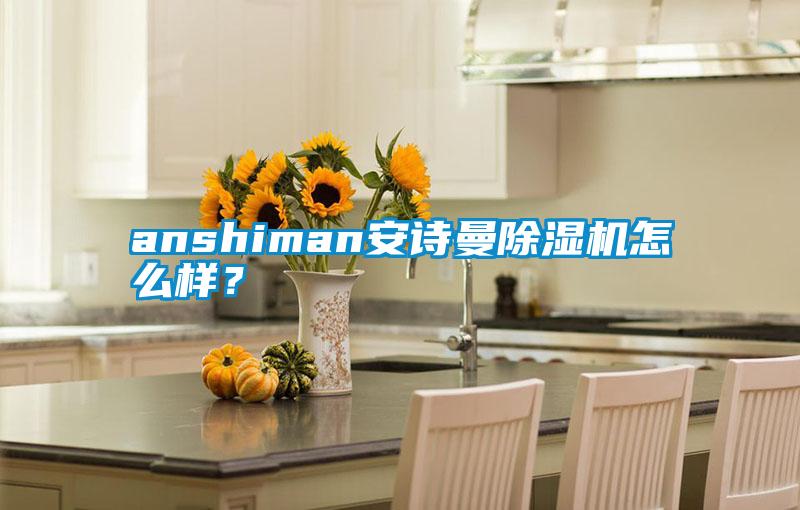 anshiman安詩(shī)曼除濕機怎么樣？