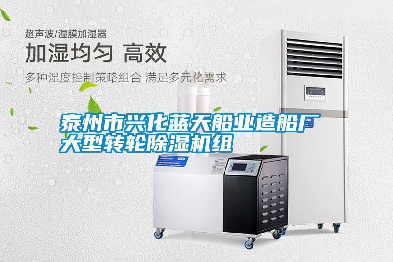 泰州市興化藍天船業(yè)造船廠(chǎng) 大型轉輪除濕機組