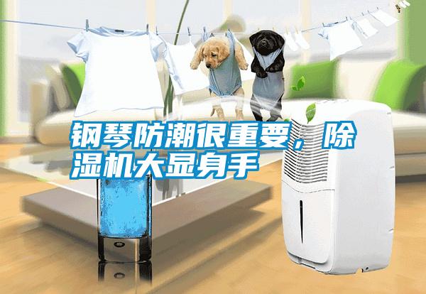 鋼琴防潮很重要，除濕機大顯身手