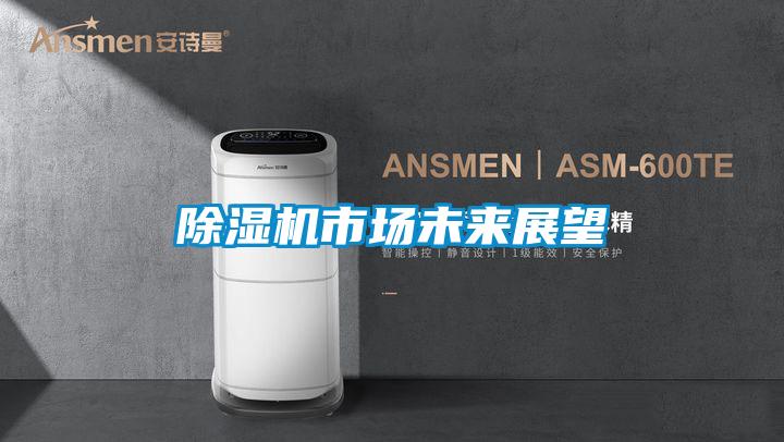 除濕機市場(chǎng)未來(lái)展望