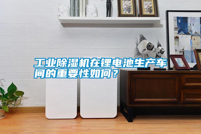工業(yè)除濕機在鋰電池生產(chǎn)車(chē)間的重要性如何？