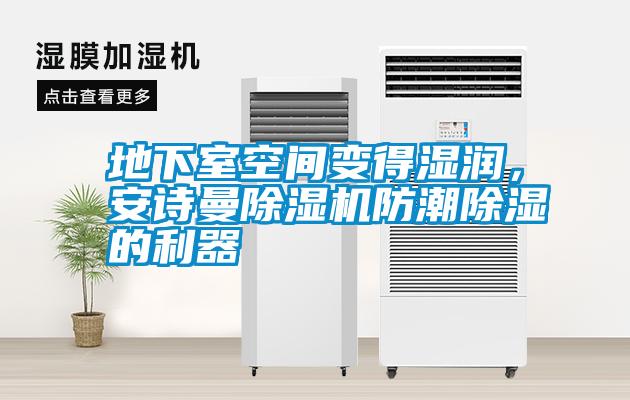 地下室空間變得濕潤，安詩(shī)曼除濕機防潮除濕的利器