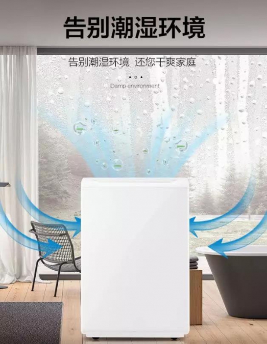 南方進(jìn)入回南天，多肉植物這樣養才不會(huì )有事！