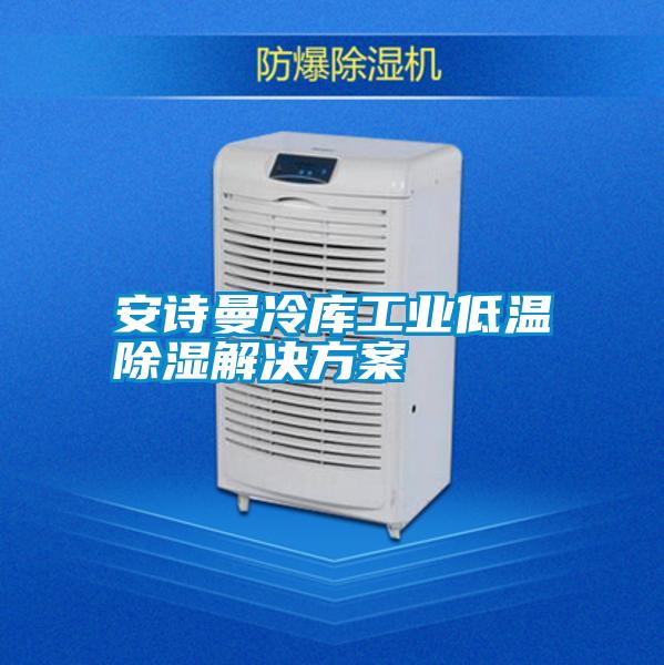 安詩(shī)曼冷庫工業(yè)低溫除濕解決方案