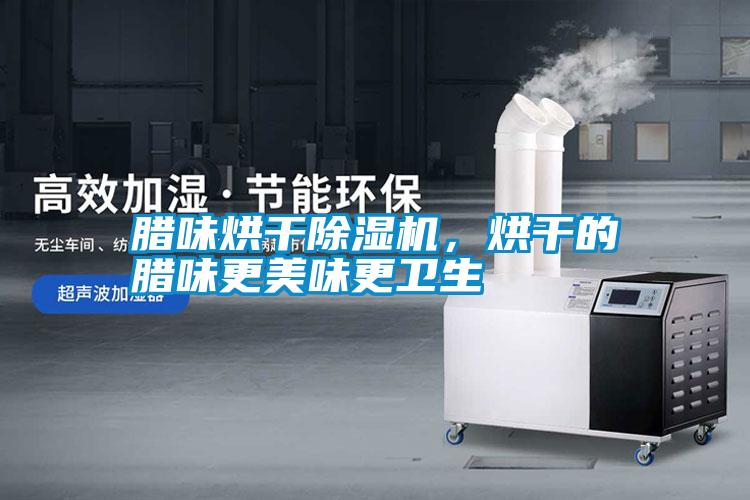 臘味烘干除濕機，烘干的臘味更美味更衛生