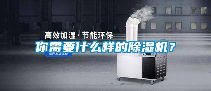 你需要什么樣的除濕機？