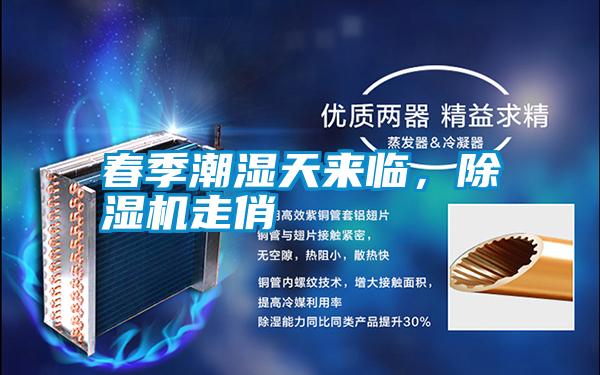 春季潮濕天來(lái)臨，除濕機走俏