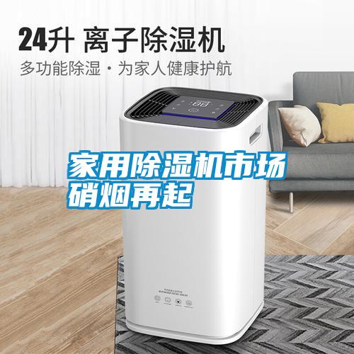 家用除濕機市場(chǎng)硝煙再起