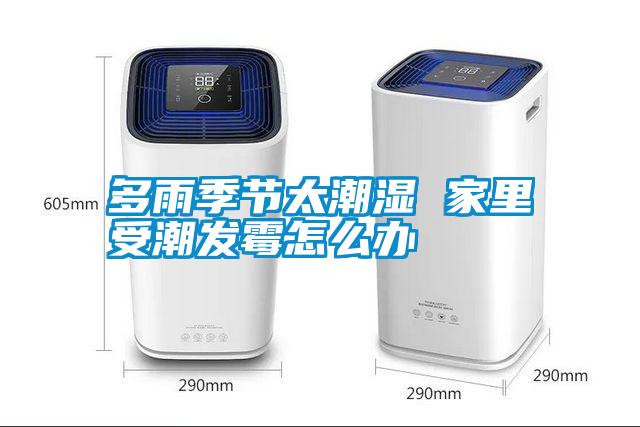 多雨季節太潮濕 家里受潮發(fā)霉怎么辦