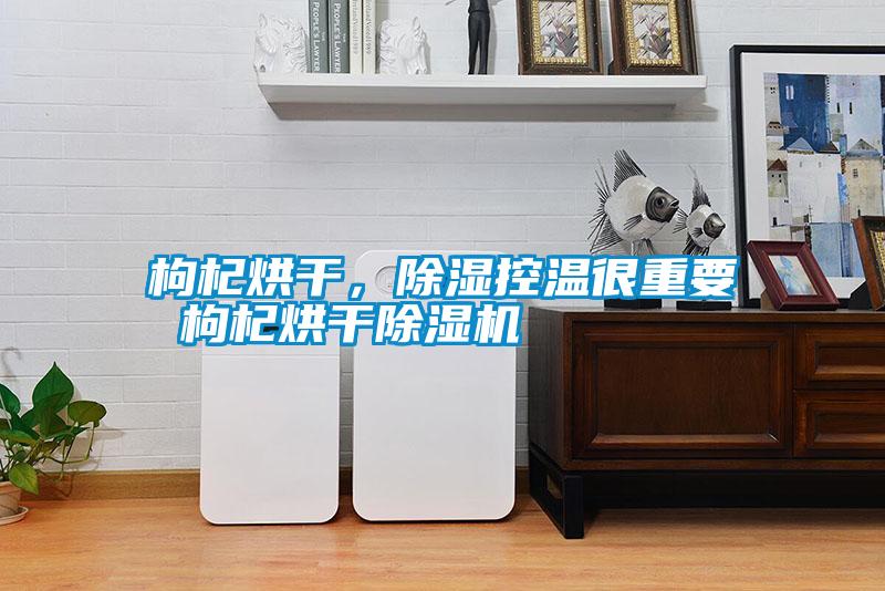 枸杞烘干，除濕控溫很重要 枸杞烘干除濕機