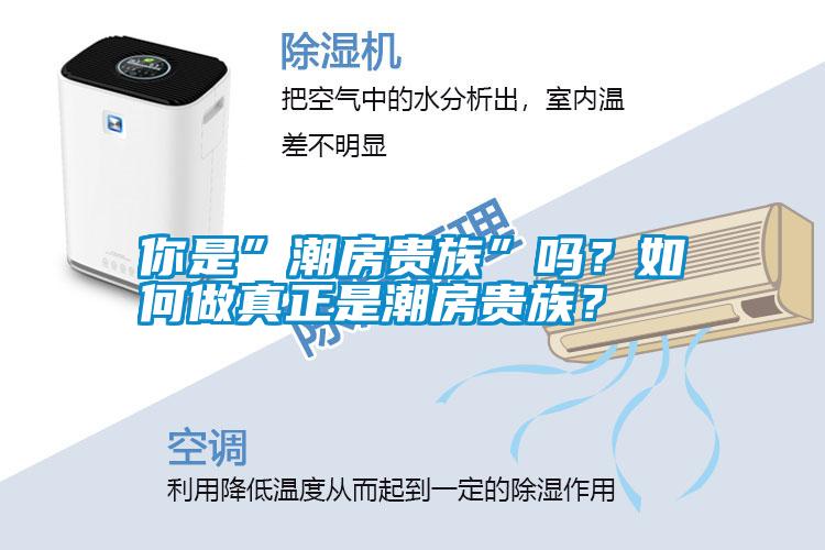 你是”潮房貴族”嗎？如何做真正是潮房貴族？