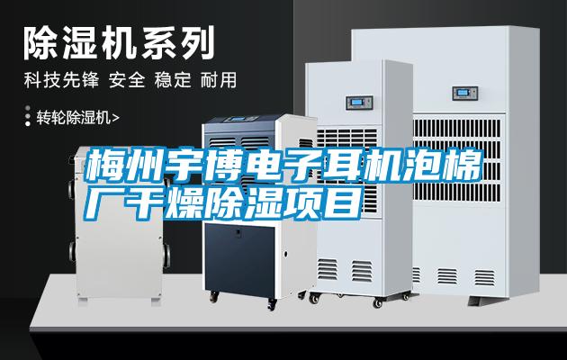 梅州宇博電子耳機泡棉廠(chǎng)干燥除濕項目