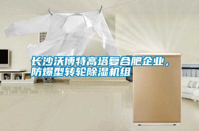 長(cháng)沙沃博特高塔復合肥企業(yè)，防爆型轉輪除濕機組