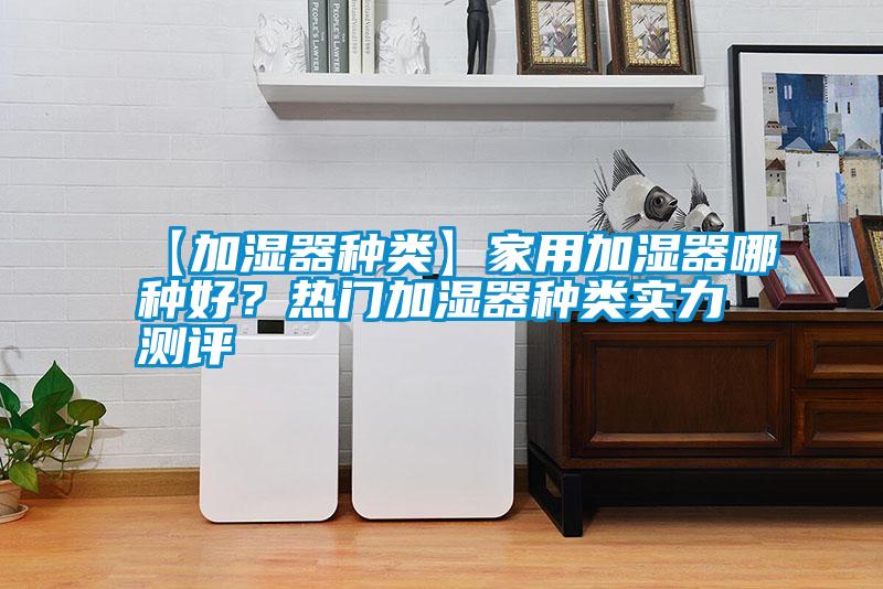【加濕器種類(lèi)】家用加濕器哪種好？熱門(mén)加濕器種類(lèi)實(shí)力測評