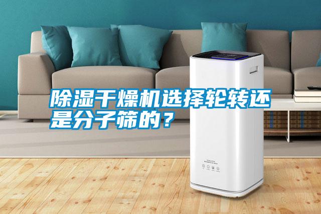 除濕干燥機選擇輪轉還是分子篩的？