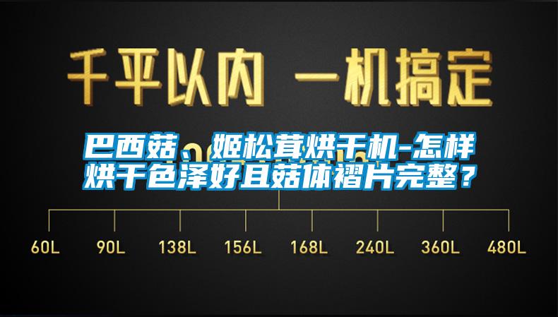 巴西菇、姬松茸烘干機-怎樣烘干色澤好且菇體褶片完整？