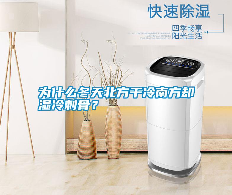 為什么冬天北方干冷南方卻濕冷刺骨？